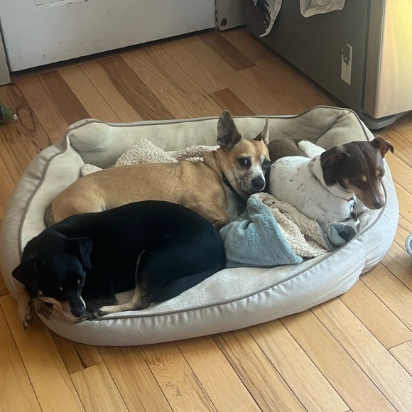 Meet your Posher, Trisha - Picture 10 of 15